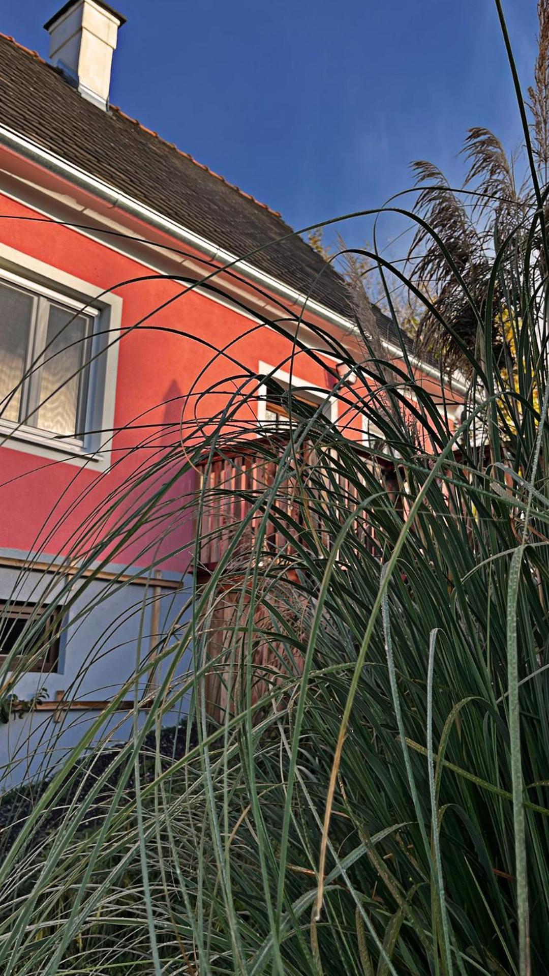 גהס Ferienhaus Thonjoergl מראה חיצוני תמונה